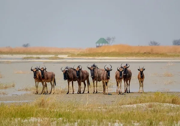 Serengeti National Park